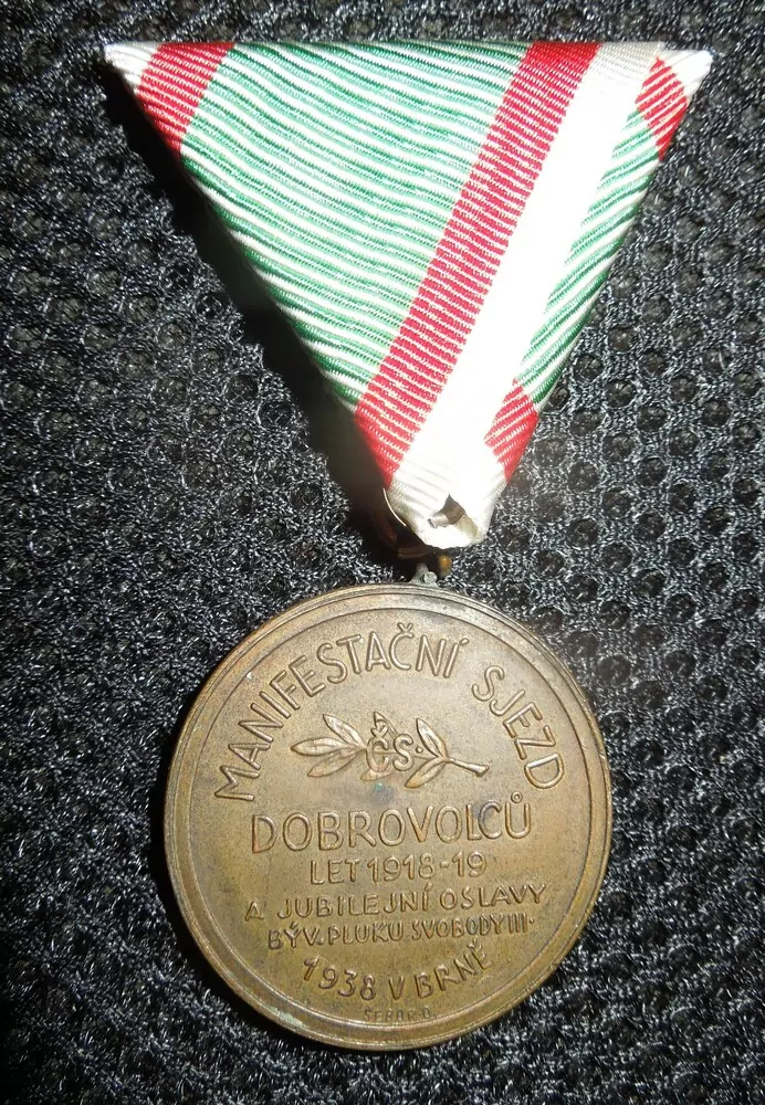 MANIFESTAČNÍ SJEZD DOBROVOLCŮ