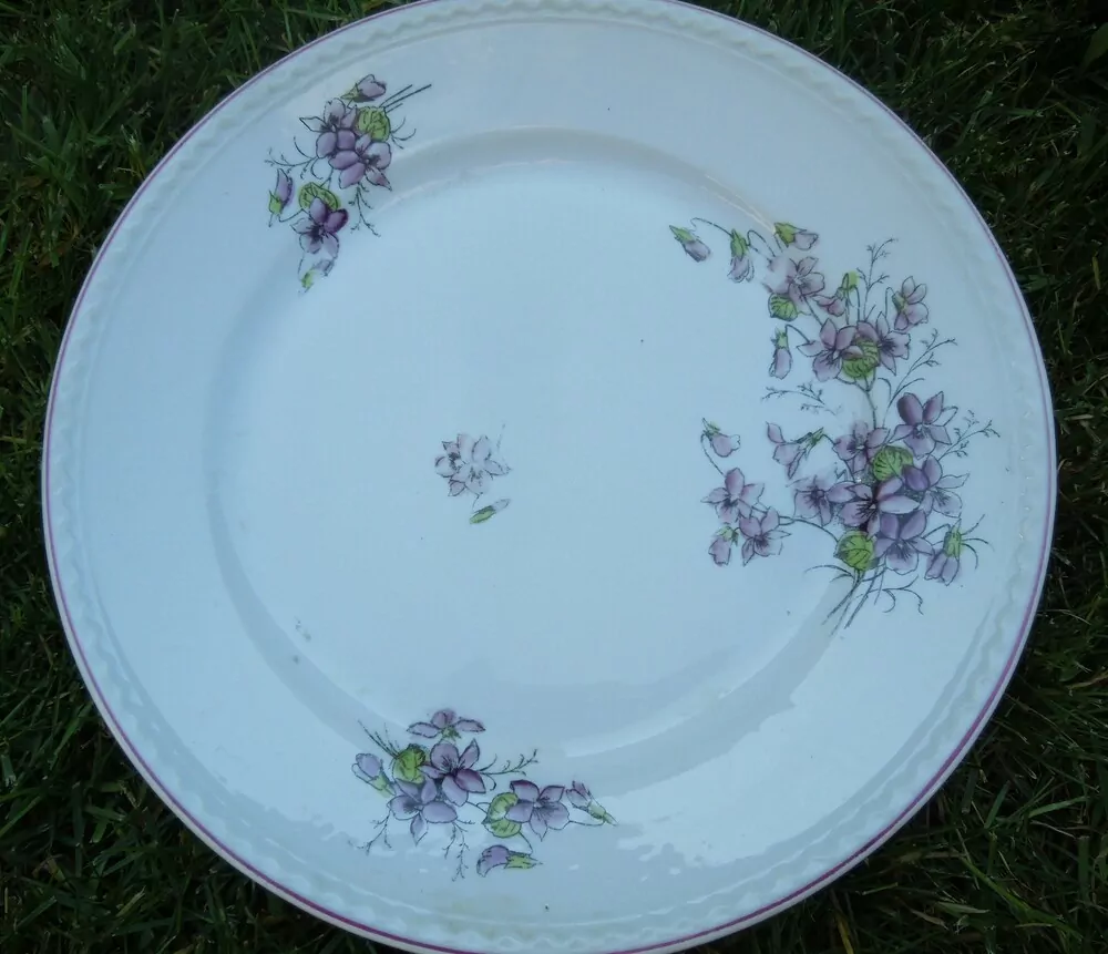 PORCELÁNOVÁ SADA FIALKY,10 KS