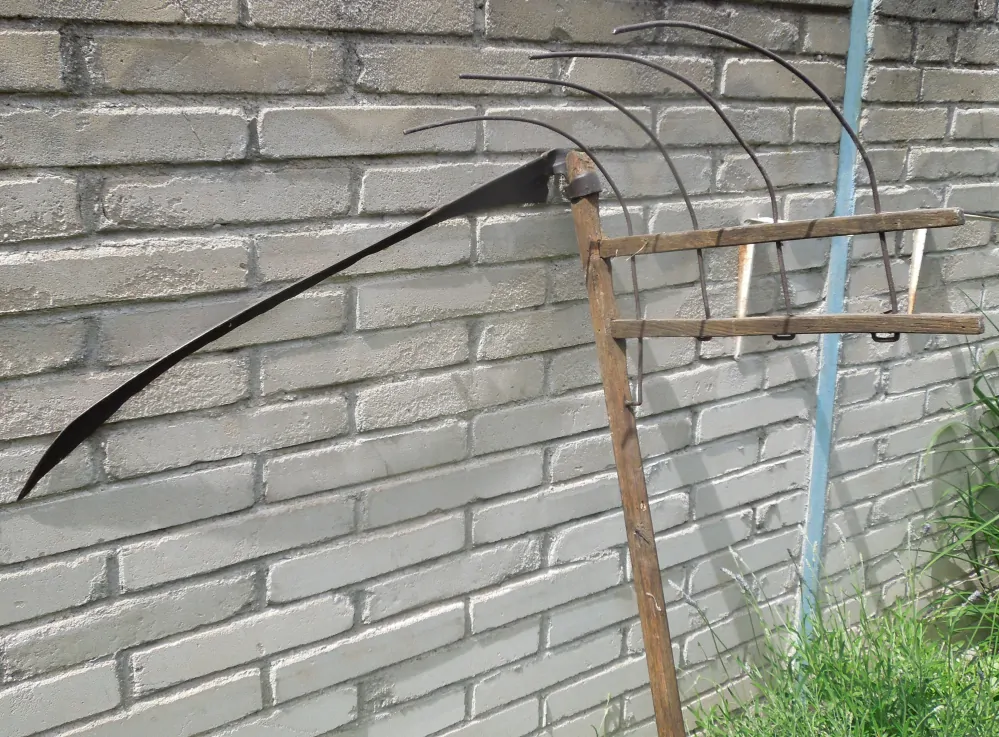 KOSA KOSIŠTĚ