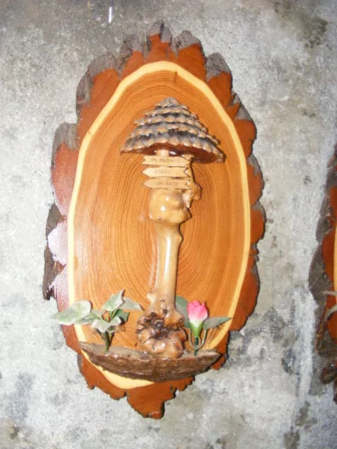 SAMOROST ROZCESTNÍK UHERSKÝ BROD PODOLÍ UHERSKÉ HRADIŠTĚ