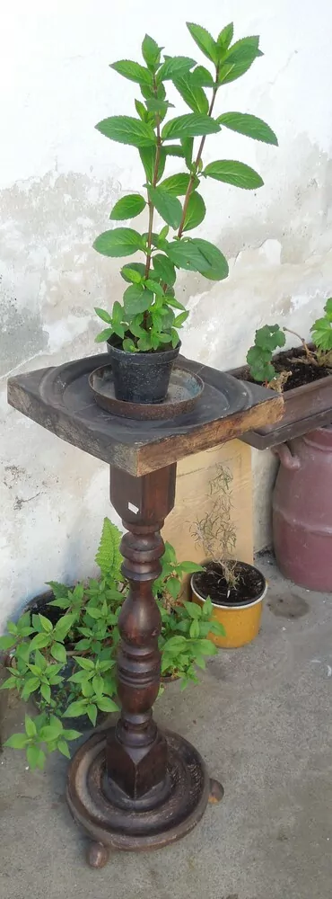 STOJAN NA KVĚTINÁČ