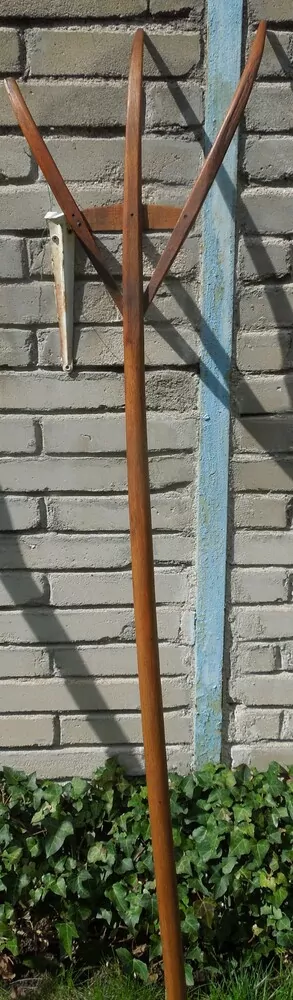 TROJZUBEC, VIDLE STAROŽITNOST