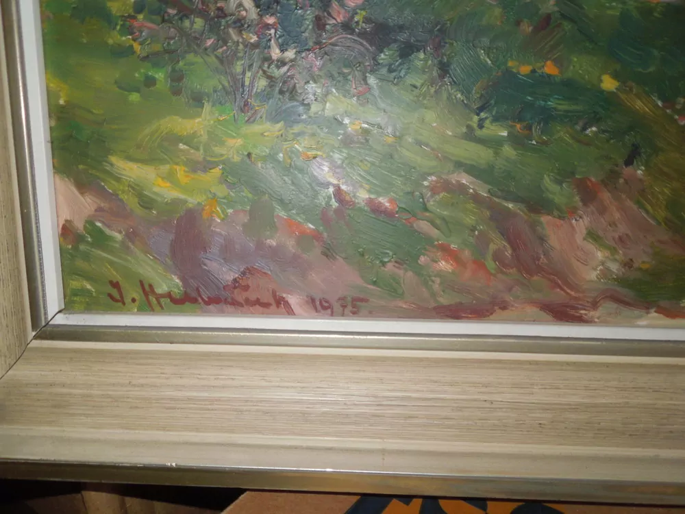 OBRAZ CESTA V KRAJINĚ