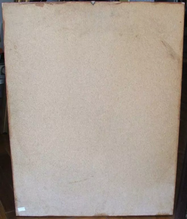 OBRAZ HLAVA KONĚ KŮŇ