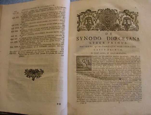 SANCTISSIMI BENED. DE SYNODO PAPAE R.1767