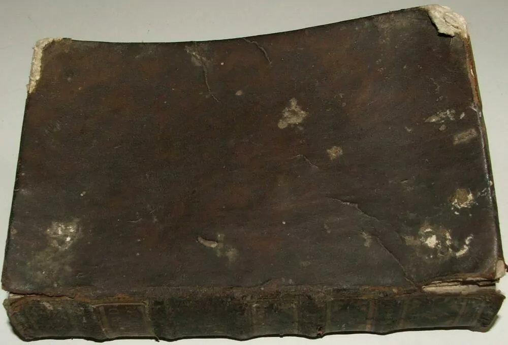 KNIHA CONCIONES USUI PAROCHORUM 1766 ??