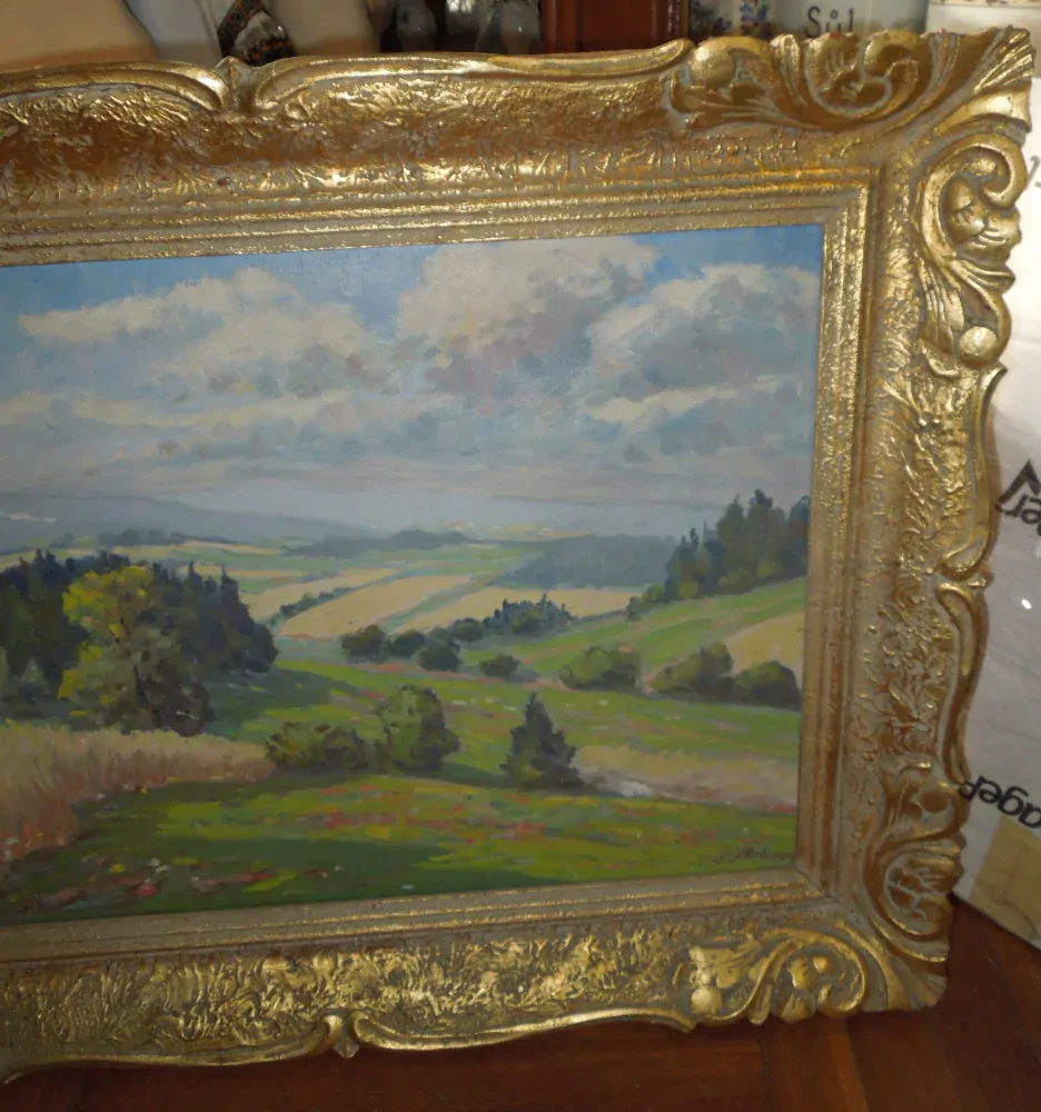 OBRAZ KRAJINA