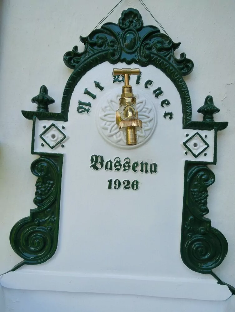 ZAHRADNÍ VÝLEVKA BASSENA 1926