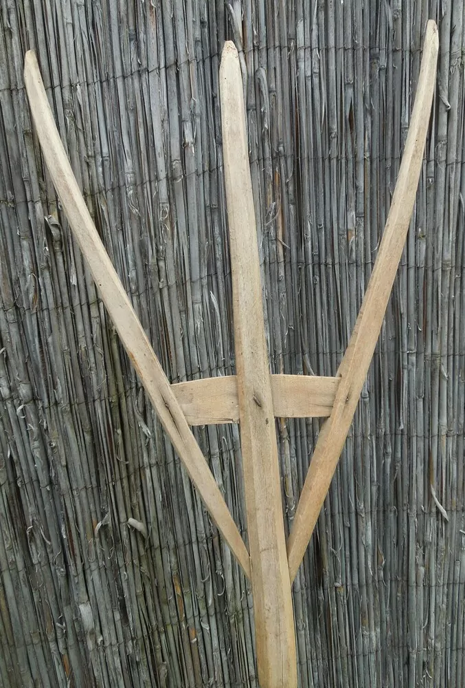 TROJZUBEC, VIDLE STAROŽITNOST