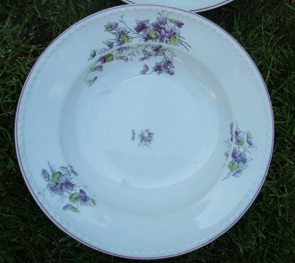 PORCELÁNOVÁ SADA FIALKY,10 KS