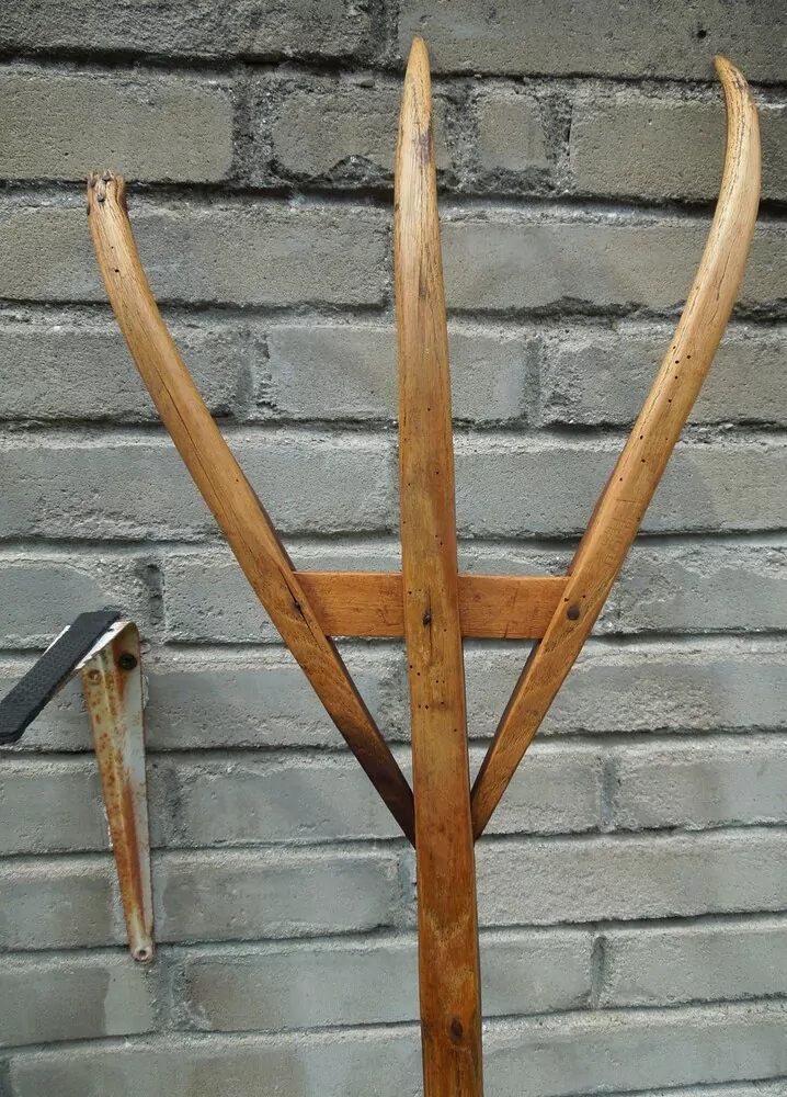 TROJZUBEC, VIDLE STAROŽITNOST