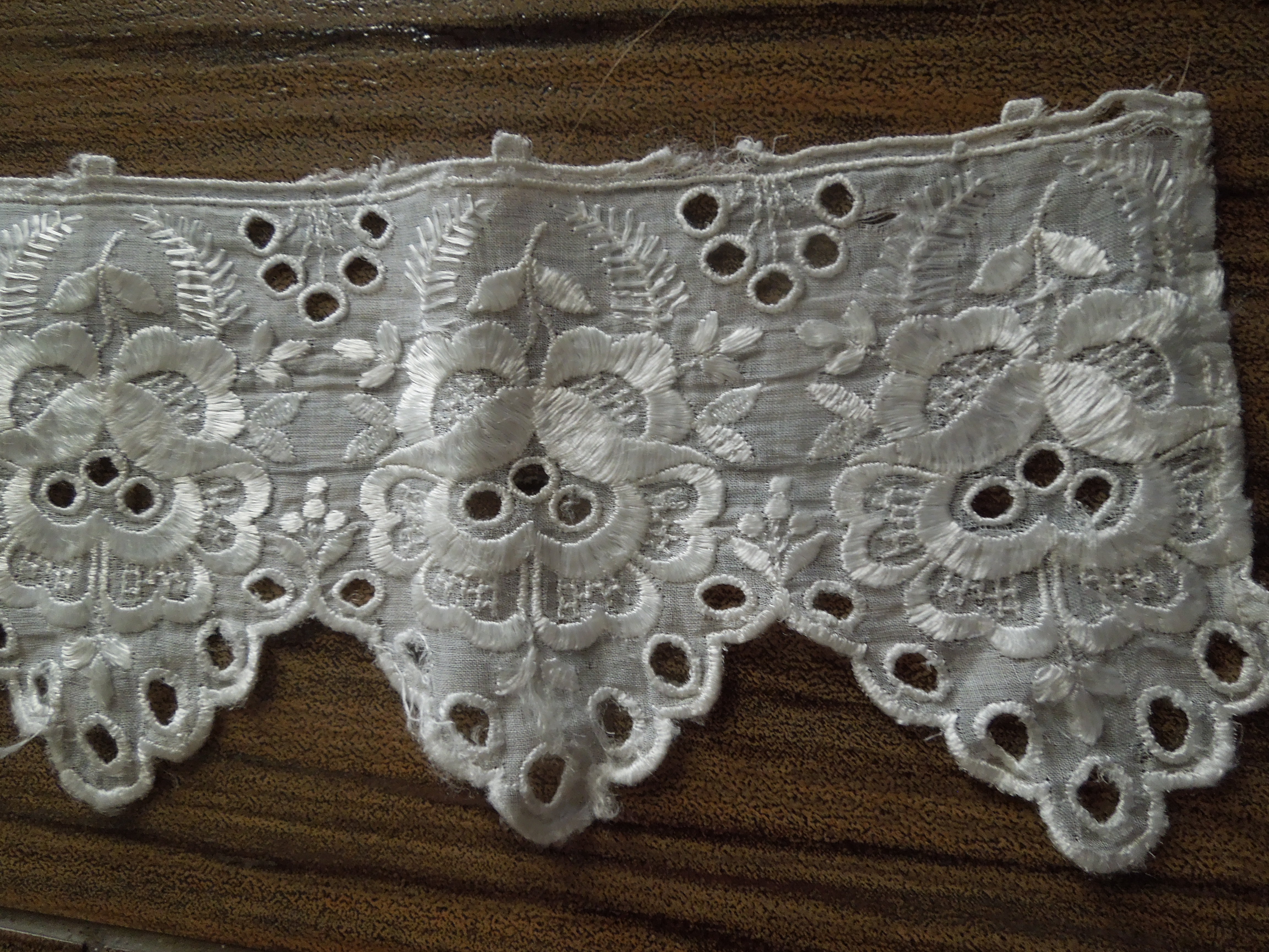 KRAJKA NA MOLU (SKLE)