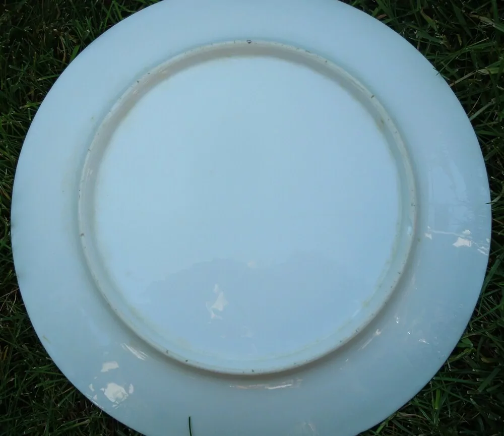 PORCELÁNOVÁ SADA FIALKY,10 KS