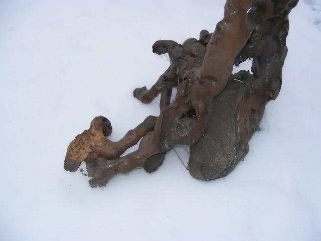 STOJAN POLICE NA KVĚTINY SAMOROST