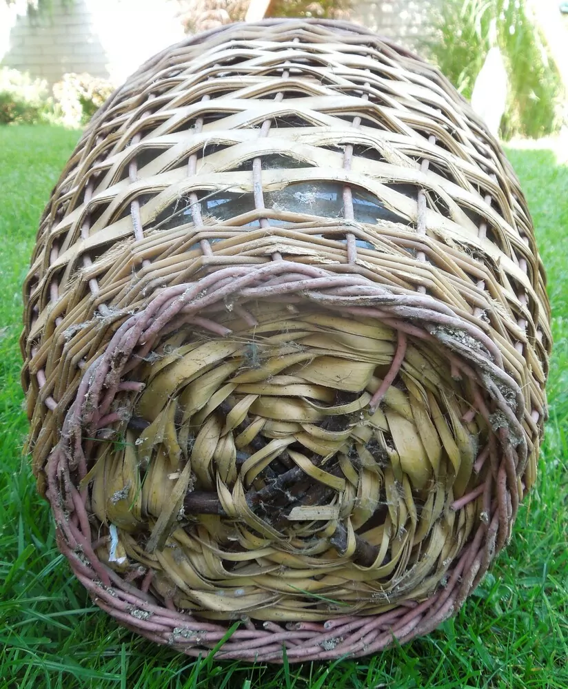 DEMIŽON 10L
