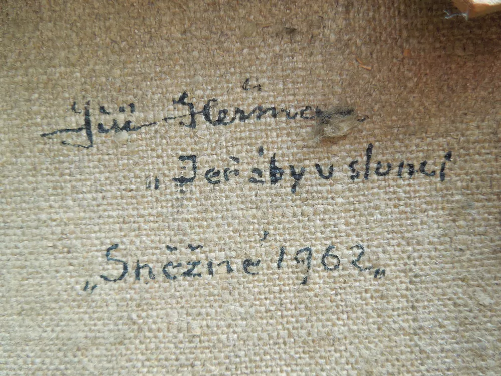 OBRAZ JEŘÁBY V SLUNCI, SNĚŽNÉ 1962, JIŘÍ HEŘMAN