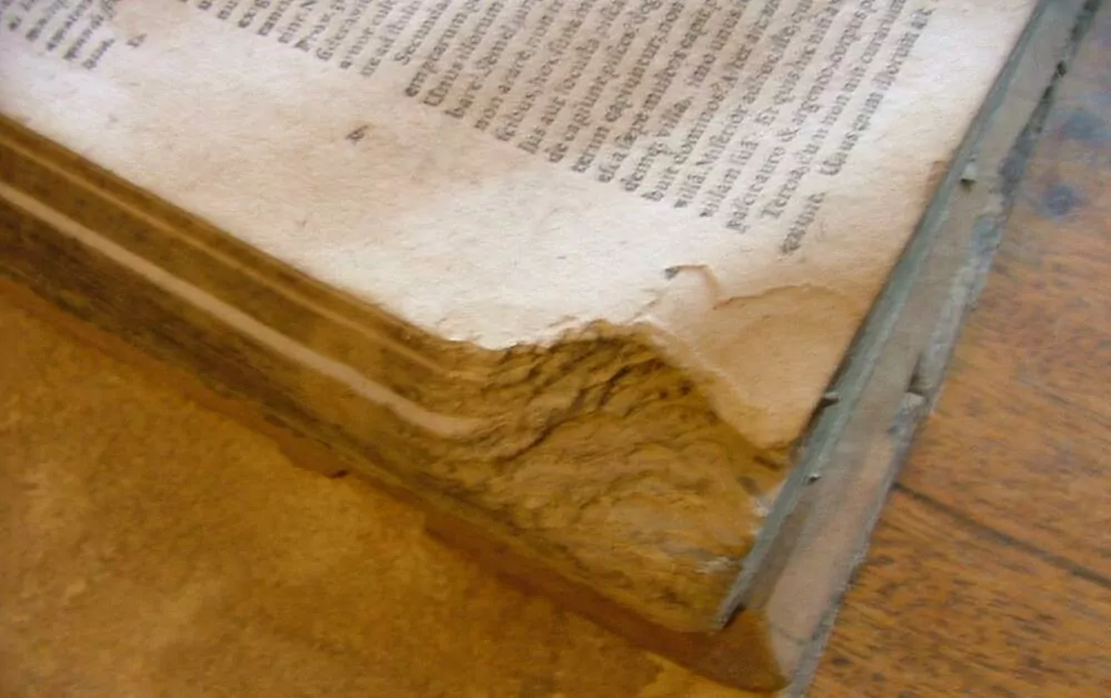 MATTHEIAE FABRI CONCIONVM 1693 ?