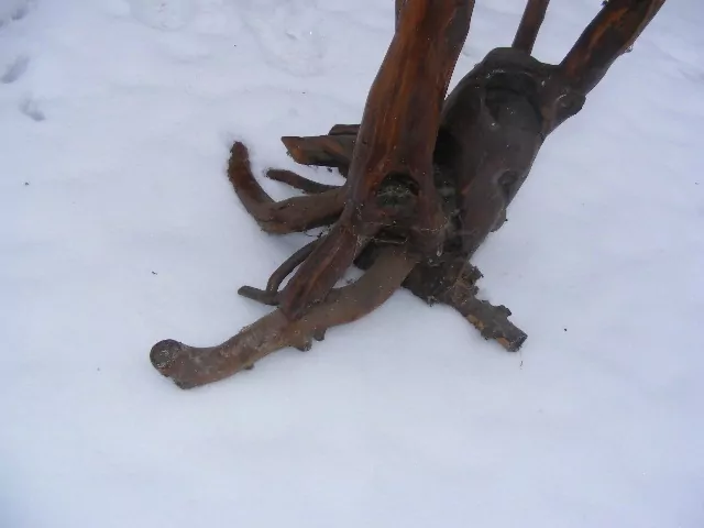 STŮL SAMOROST