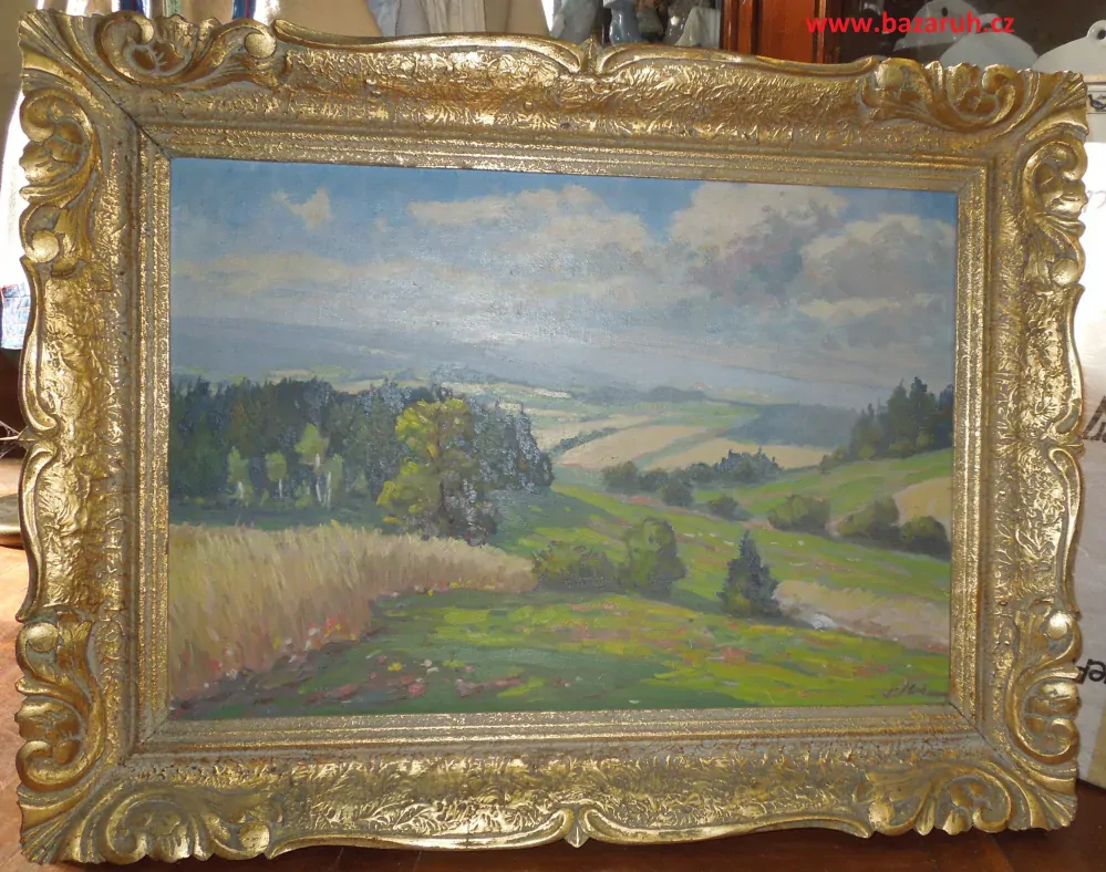 OBRAZ KRAJINA