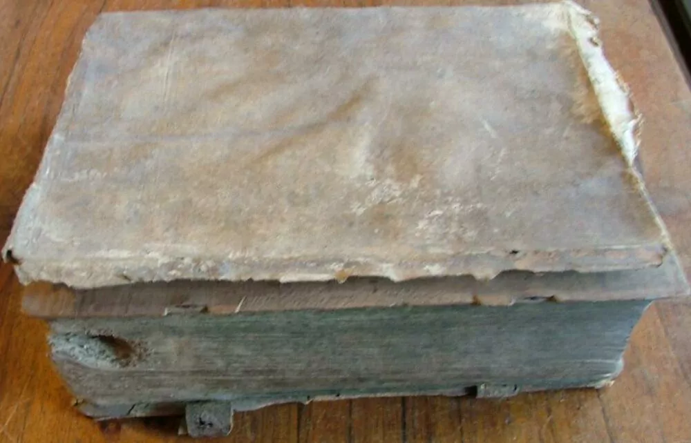 MATTHEIAE FABRI CONCIONVM 1693 ?