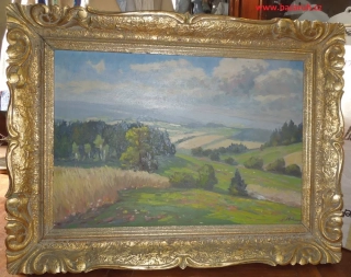 OBRAZ KRAJINA