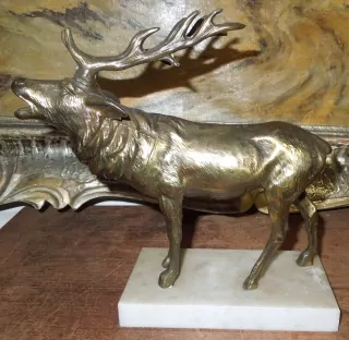 SOCHA JELENA
